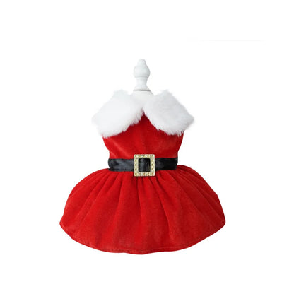 Christmas Coat Dog Xmas Dress Red Skirt