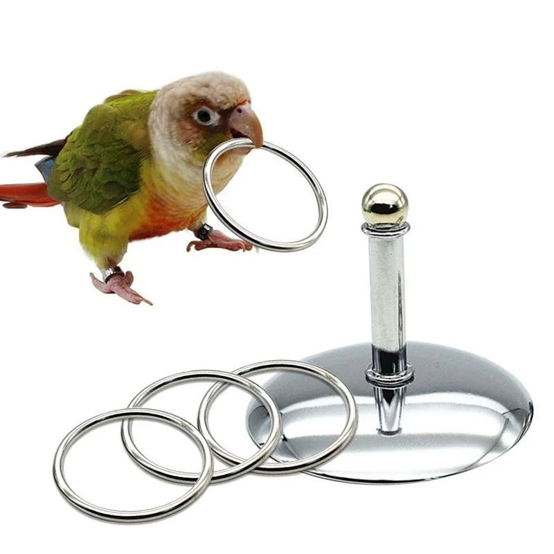 Bird Parrots Interactive Training Toys Intelligence Development Stacking Metal Ring Training Sets