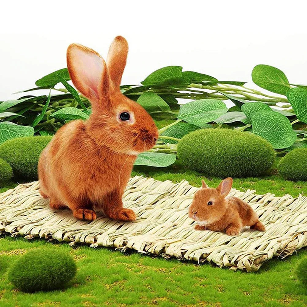 Straw Woven Pet Chew Mat Pad Pet House Cage Accessories For Rabbit