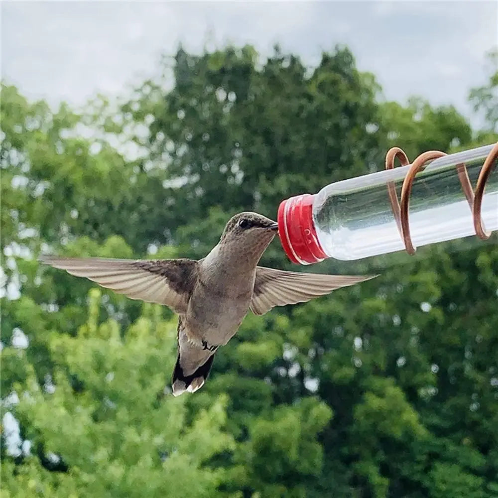 New Sweet Window Hummingbird Feeder