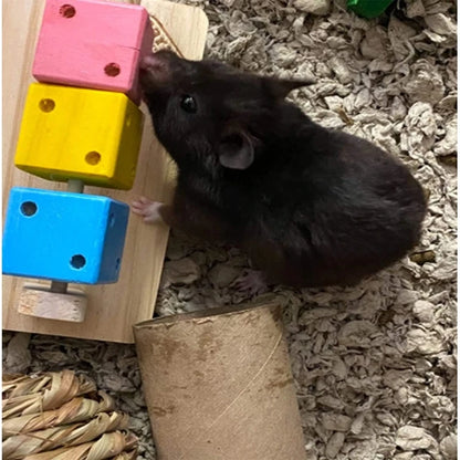 Cube Hamster Toys