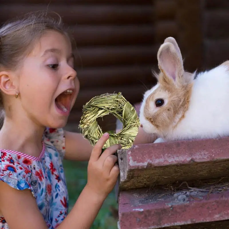 Grass Ball Grass Ring Pet Teeth Grinding Rabbit Chew Toy