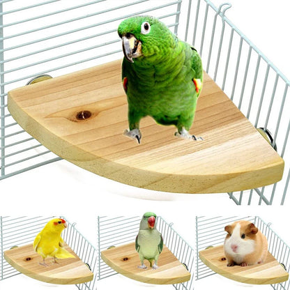 Fan-shaped Bird Parrot Wooden Stand Rack